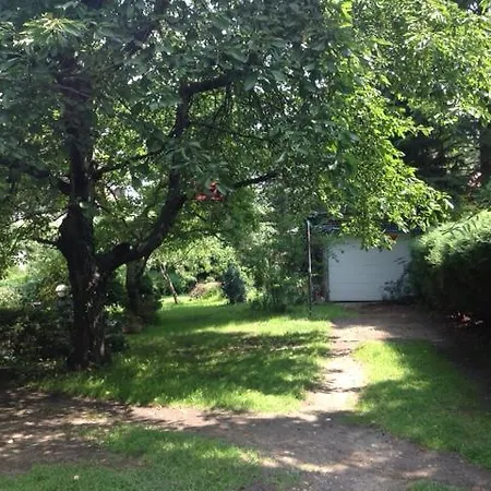 Adam Guest house *